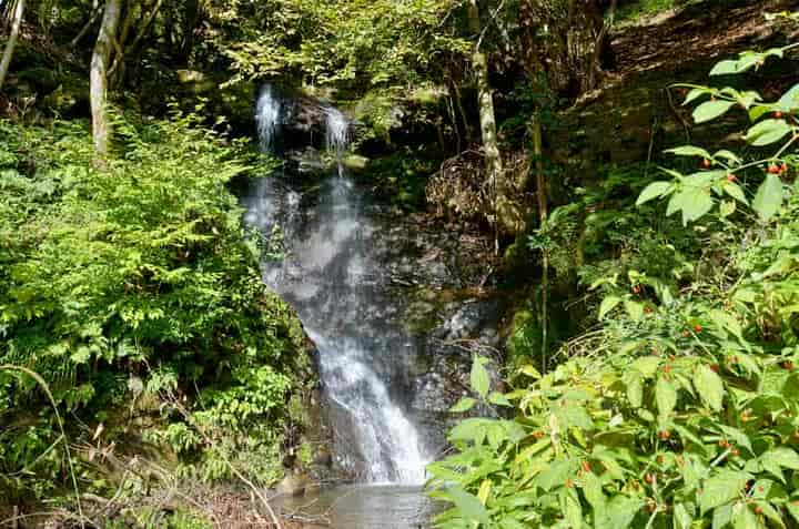 用野の滝・沢からの眺め